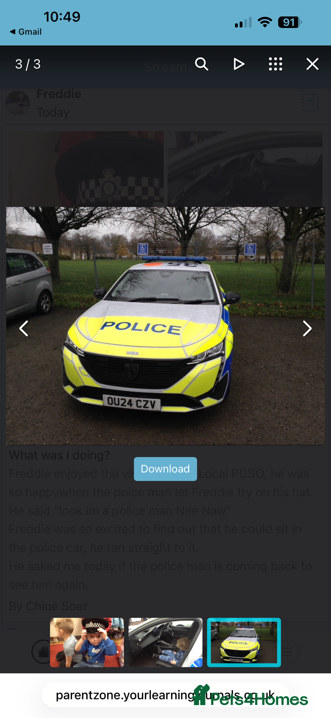 Miniature Dachshund dogs for sale: “Miniature dachshund”  - Advert 3