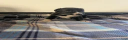 Border Collie dogs for sale: Isds registered border collie pups  - Advert 27