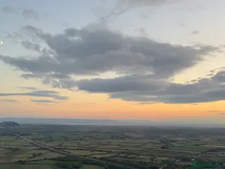 Sprocker dogs 12 week old Sprocker puppy - Advert 11