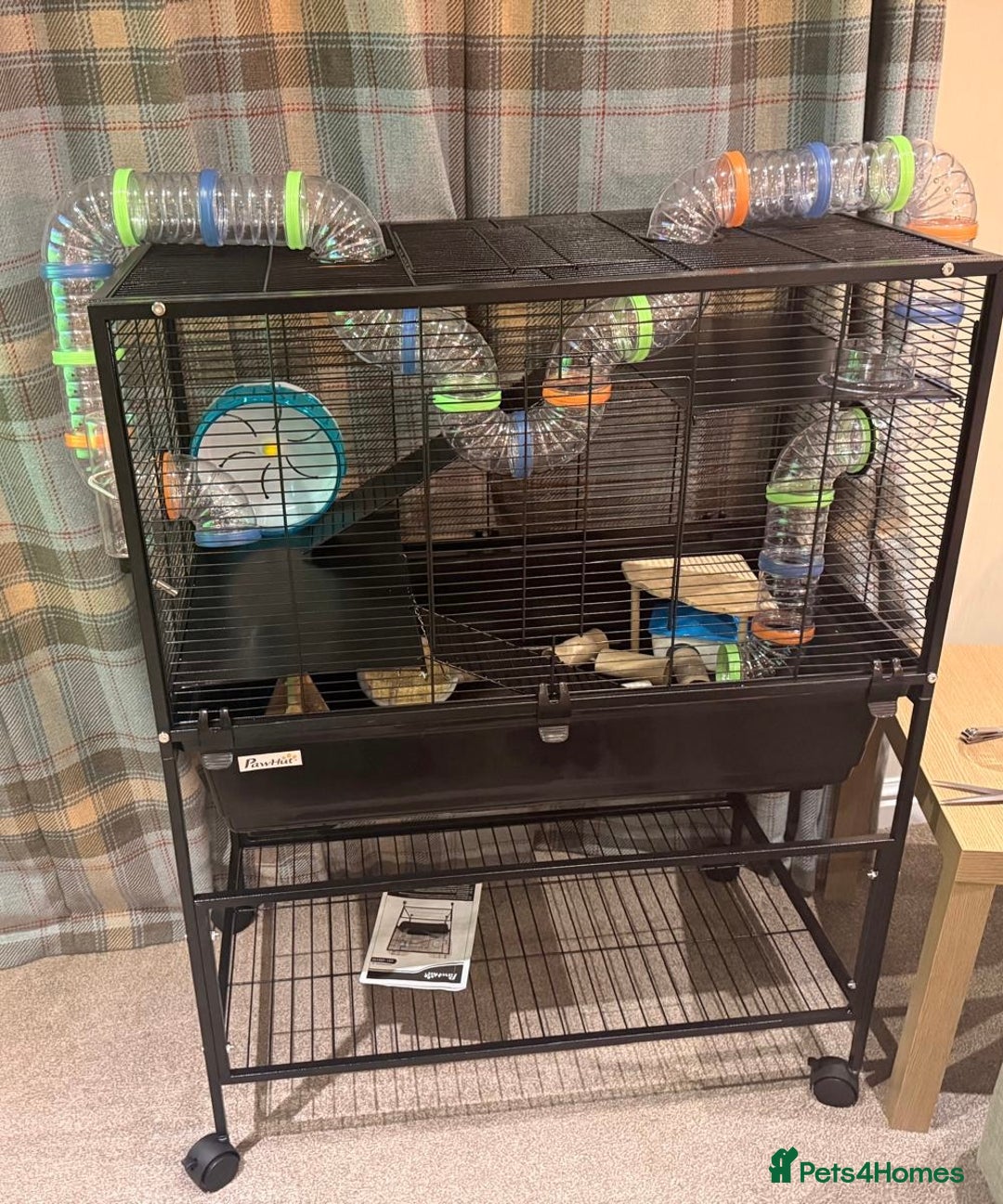 Hamster rodents for sale: Beige and white hamster including cage - Advert 1