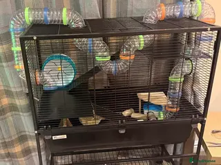 Hamster rodents HAMSTER CAGE FOR SALE - Advert 14