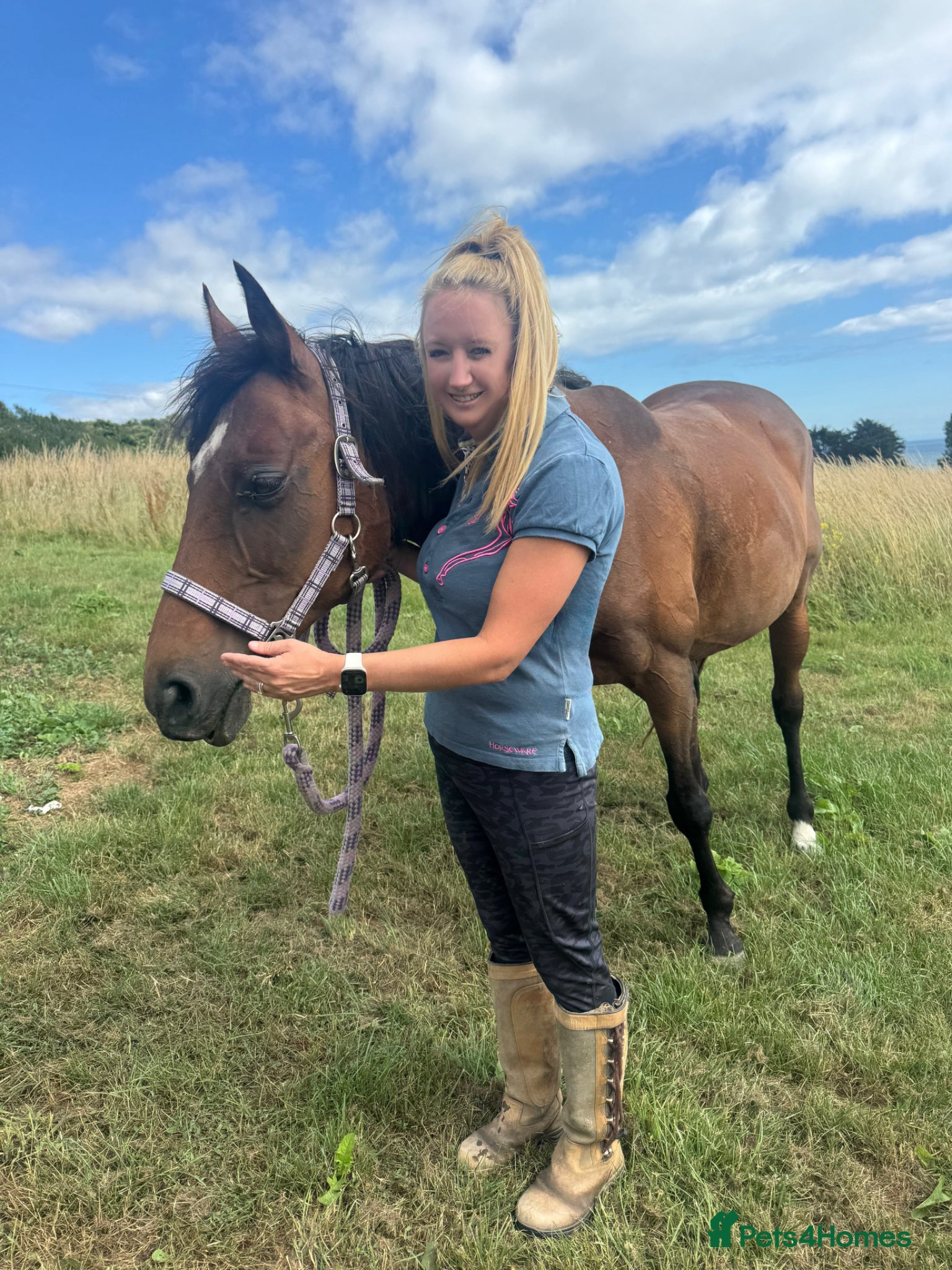 English Thoroughbred horses for sale: Project in Dorchester - Advert 2