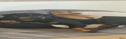 Rottweiler dogs for stud: MARLEY READY FOR STUD - Advert 3