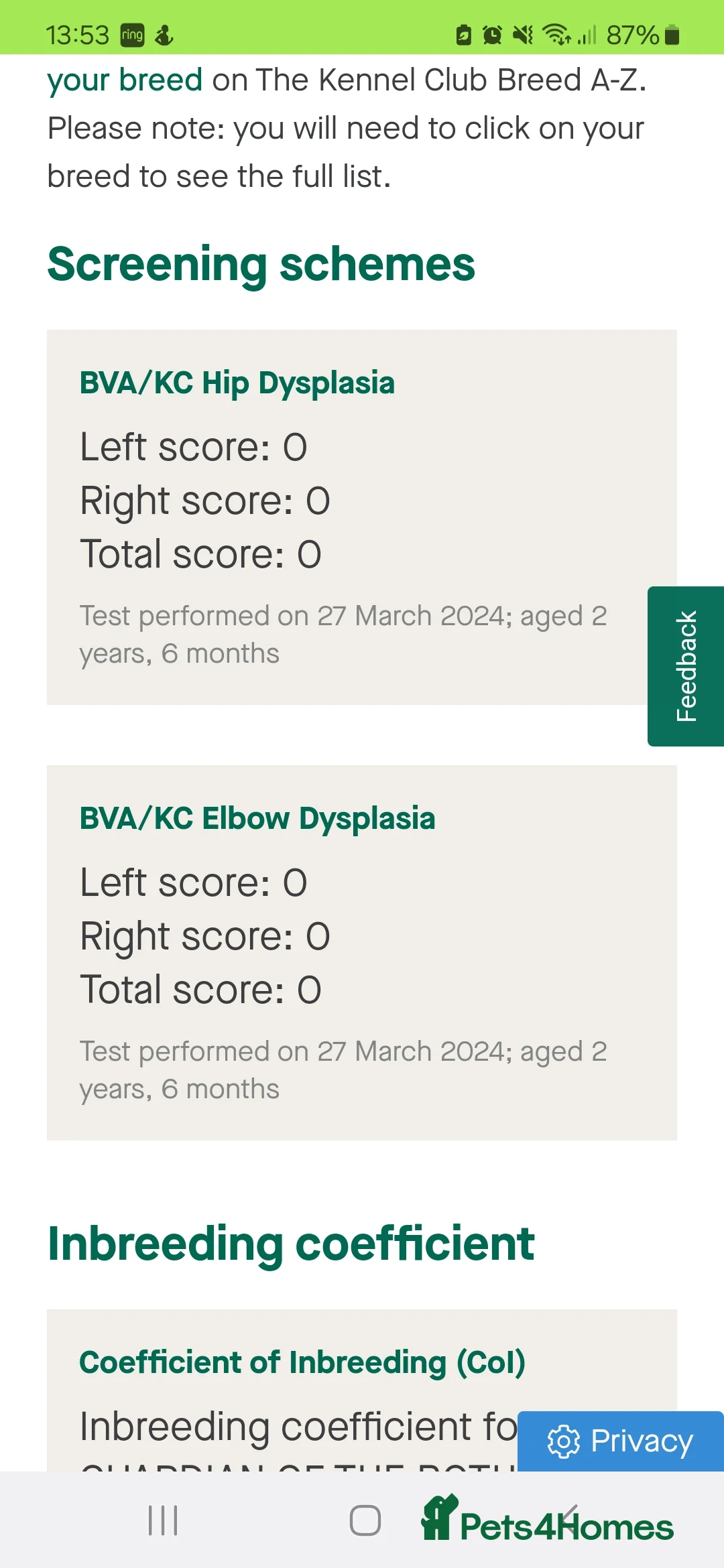 German Shorthaired Pointer dogs for stud: Proven sire full KC Reg GSP 5th Generation in Liverpool - Advert 18