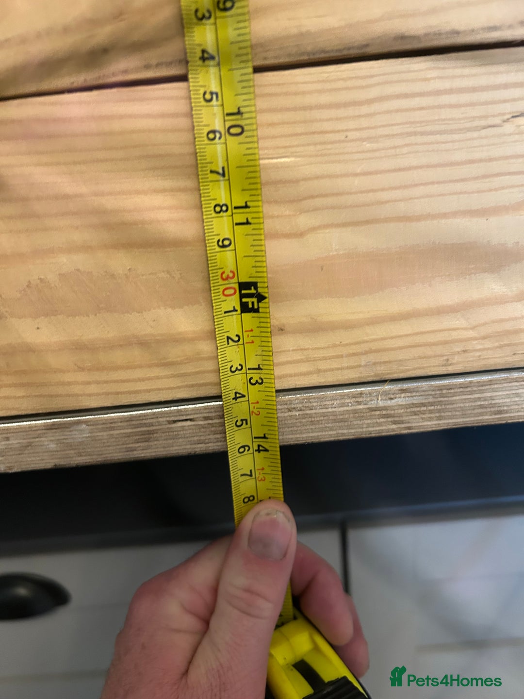 Tortoise reptiles for sale: Tortoise and full set up for sale - Image 4