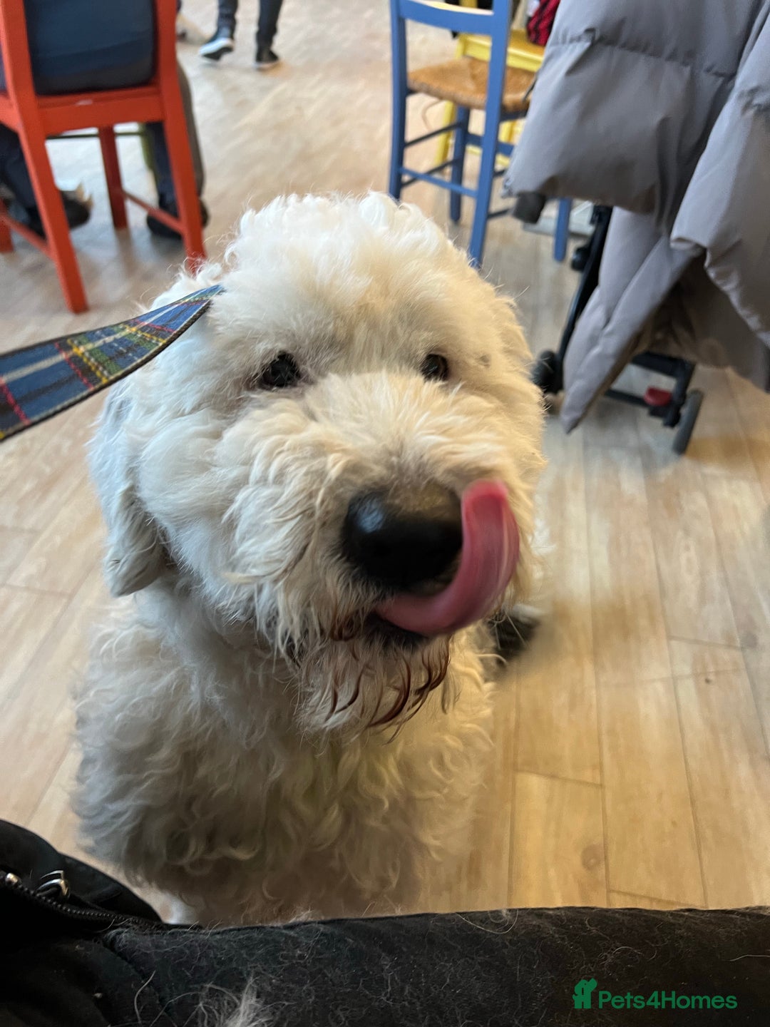 Gallery Image {{count}}