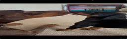 Dobermann dogs for sale: ❤️ Exceptional Family-Raised Doberman Puppies ❤️ - Advert 6