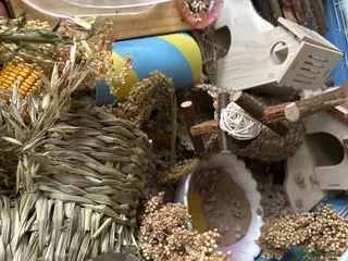 Hamster rodents Robo hamster with 100x50x50cm cage - Advert 2