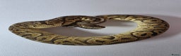 Snake reptiles for sale: Ball pythons  - Advert 23