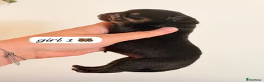 Girl 1 
