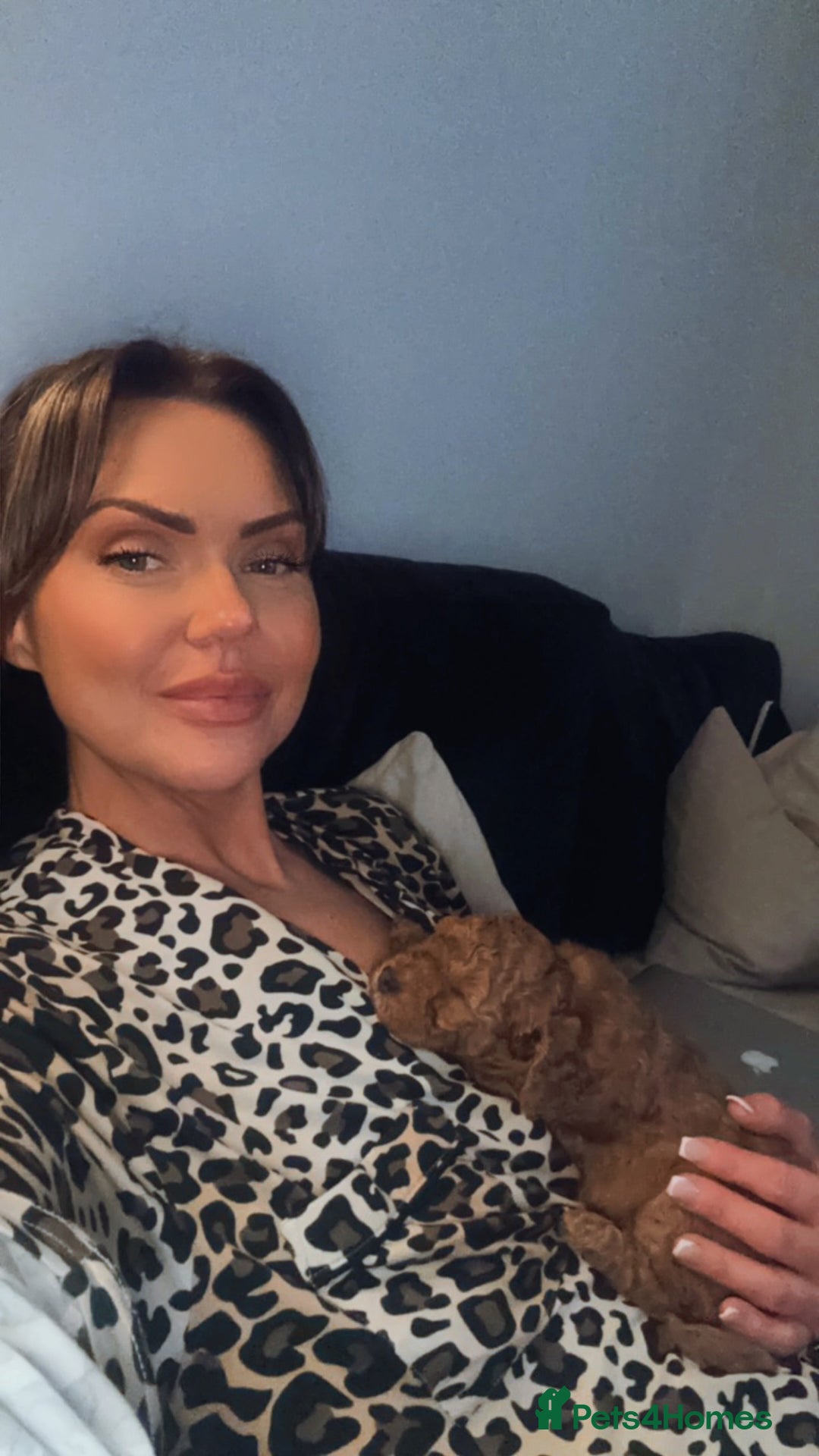 Gallery Image {{count}}