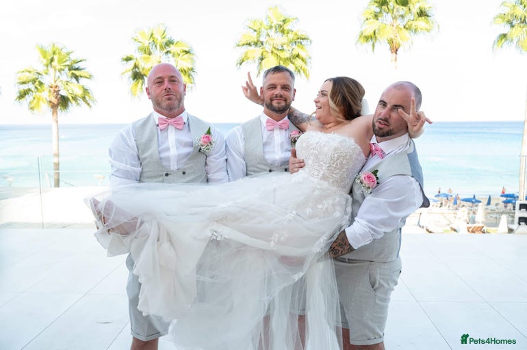 Gallery Image {{count}}