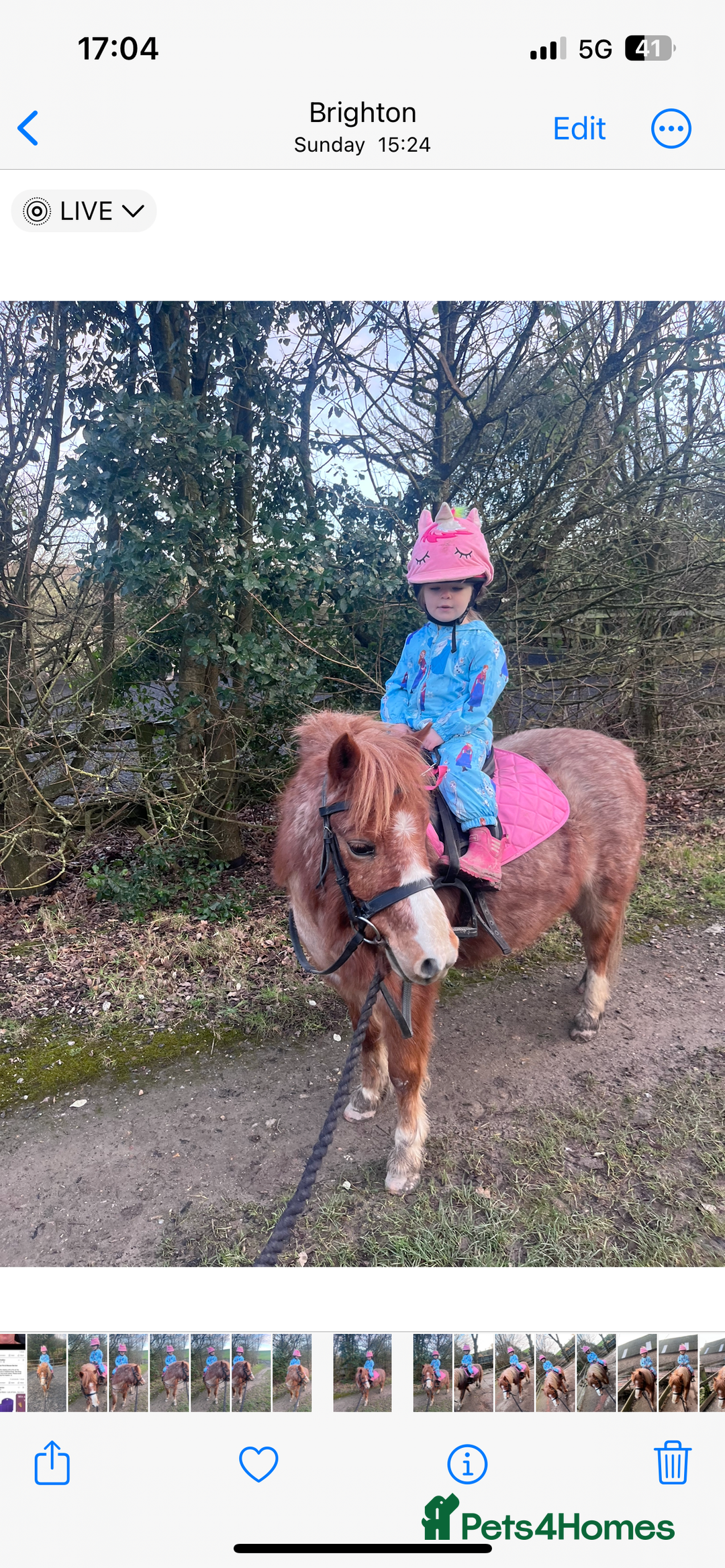 Welsh Section A horses for sale: Toni The Pony 10.3hh Mare 🦄 - Image 12