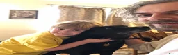 Mixed Breed dogs for adoption: ❤️🐶 MARY – SHE IS PERFECT WITH HER PEOPLE - Advert 13