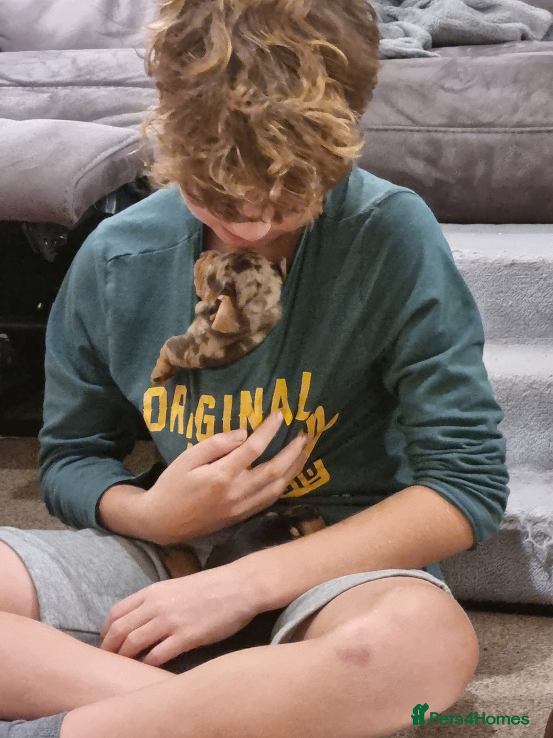 Gallery Image {{count}}