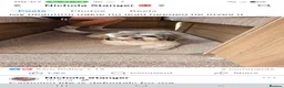 Shih Tzu dogs for stud: Shih tzu for stud - Advert 3