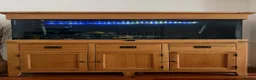 Piranhas fish for sale: Complete fish tank set up with fish in Walsall - Advert 1