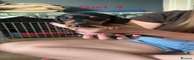 Dachshund 5
