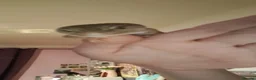 Leopard Gecko reptiles for sale: Albino Leopard Gecko in Salisbury - Advert 6