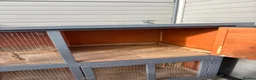 Guinea Pig rodents for sale: 2 x female guinea pigs cage and accessories in Burnham-on-Sea - Advert 4