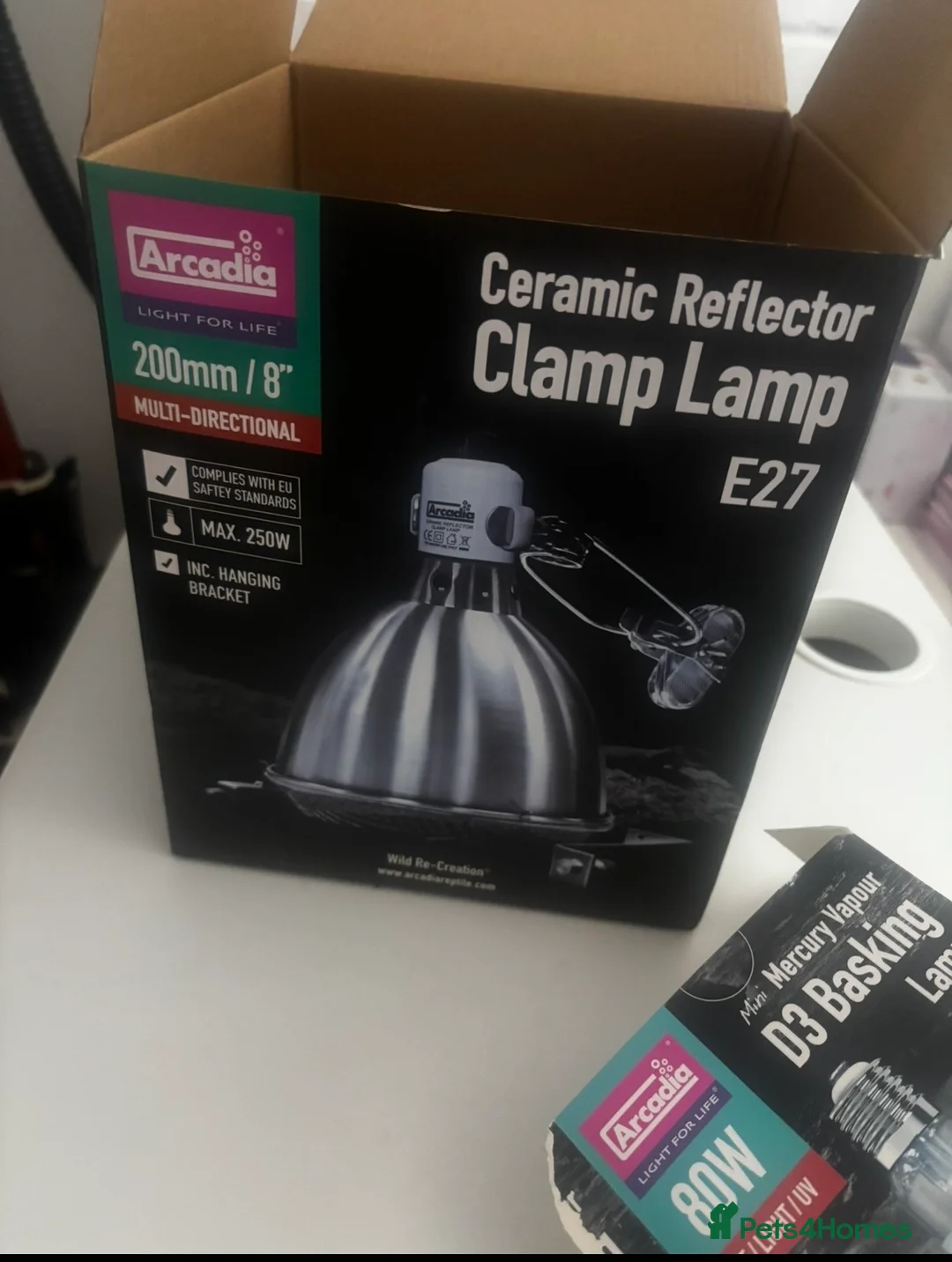 Tortoise reptiles for sale: 1 year old Horsfield Tortoise with enclosure etc - Advert 9