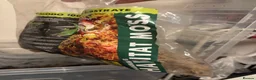 Millipedes invertebrates for sale: 1 bumblebee millipede - Advert 6