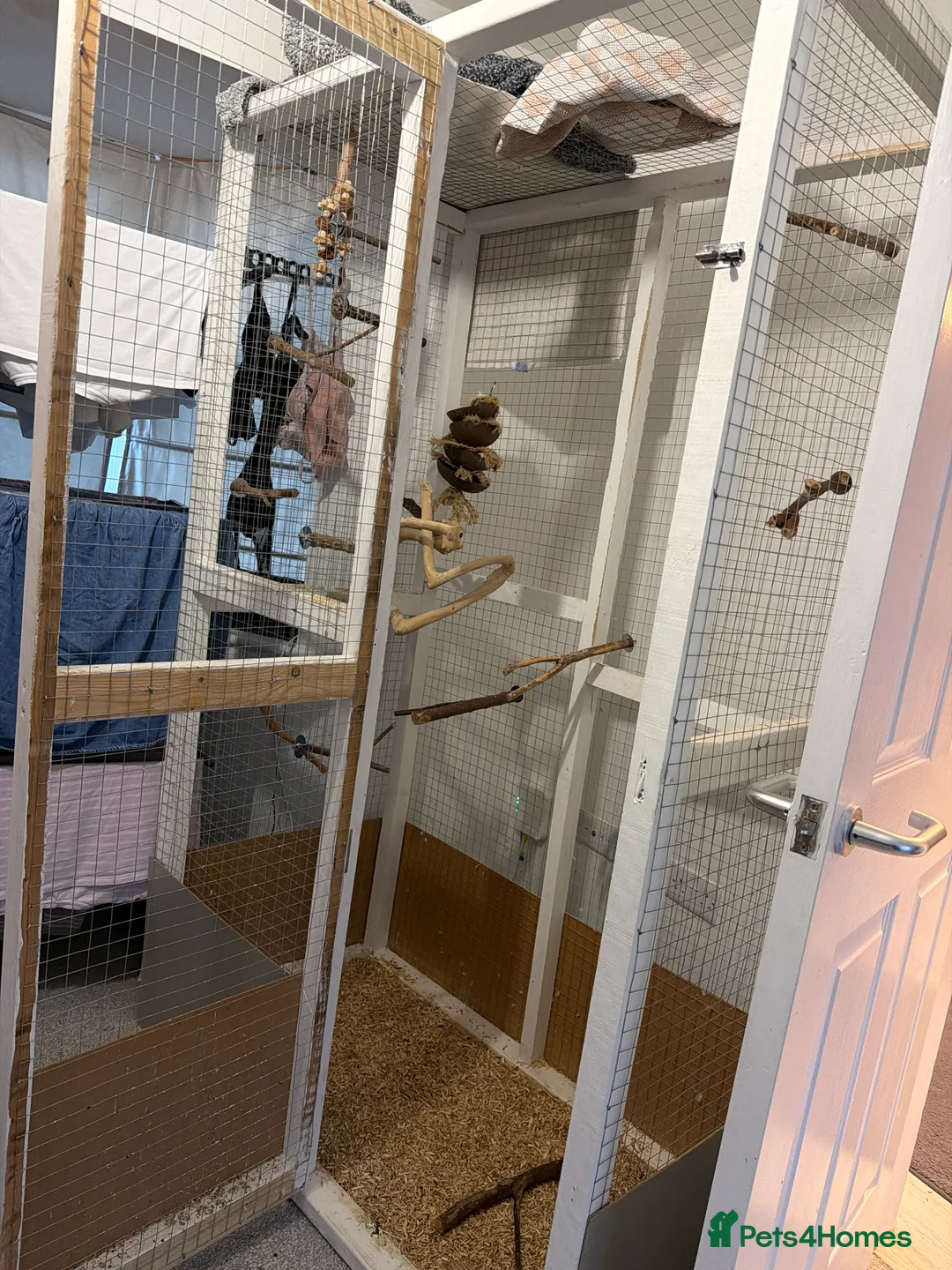 Mixed Breed birds for sale: 2x handmade bird cages with natural perches  - Advert 2