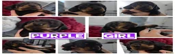Miniature Dachshund dogs for sale: LAST PUP! Miniature Dachshund Puppies 🐶🐾 - Advert 37
