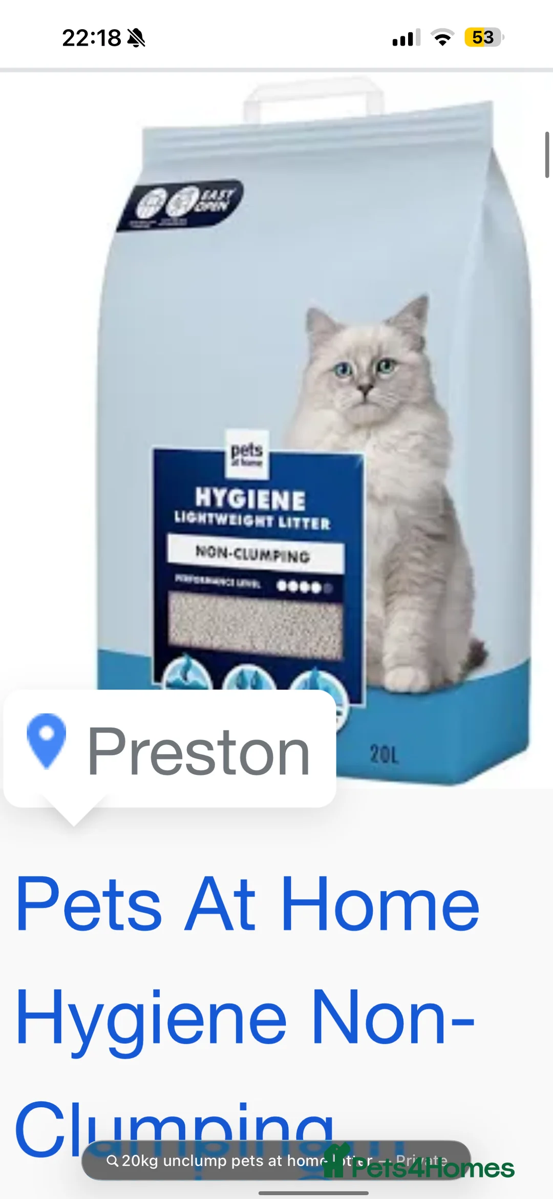 British Longhair cats for sale: Beautiful fluffy boy kitten - Advert 10