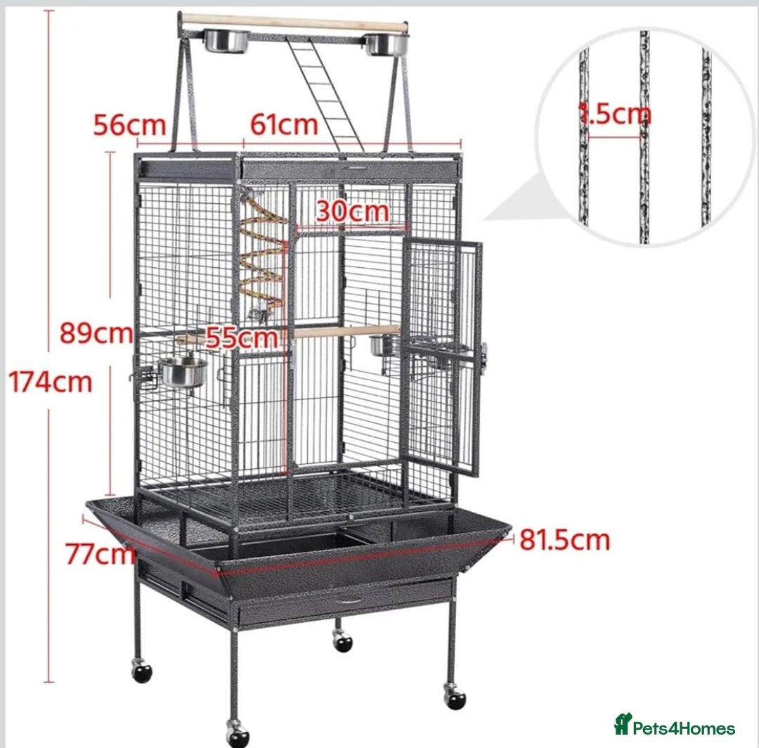 Cockatiels birds for sale: Ultimate cockatiel Albino bundle + luxurious cage. - Advert 4