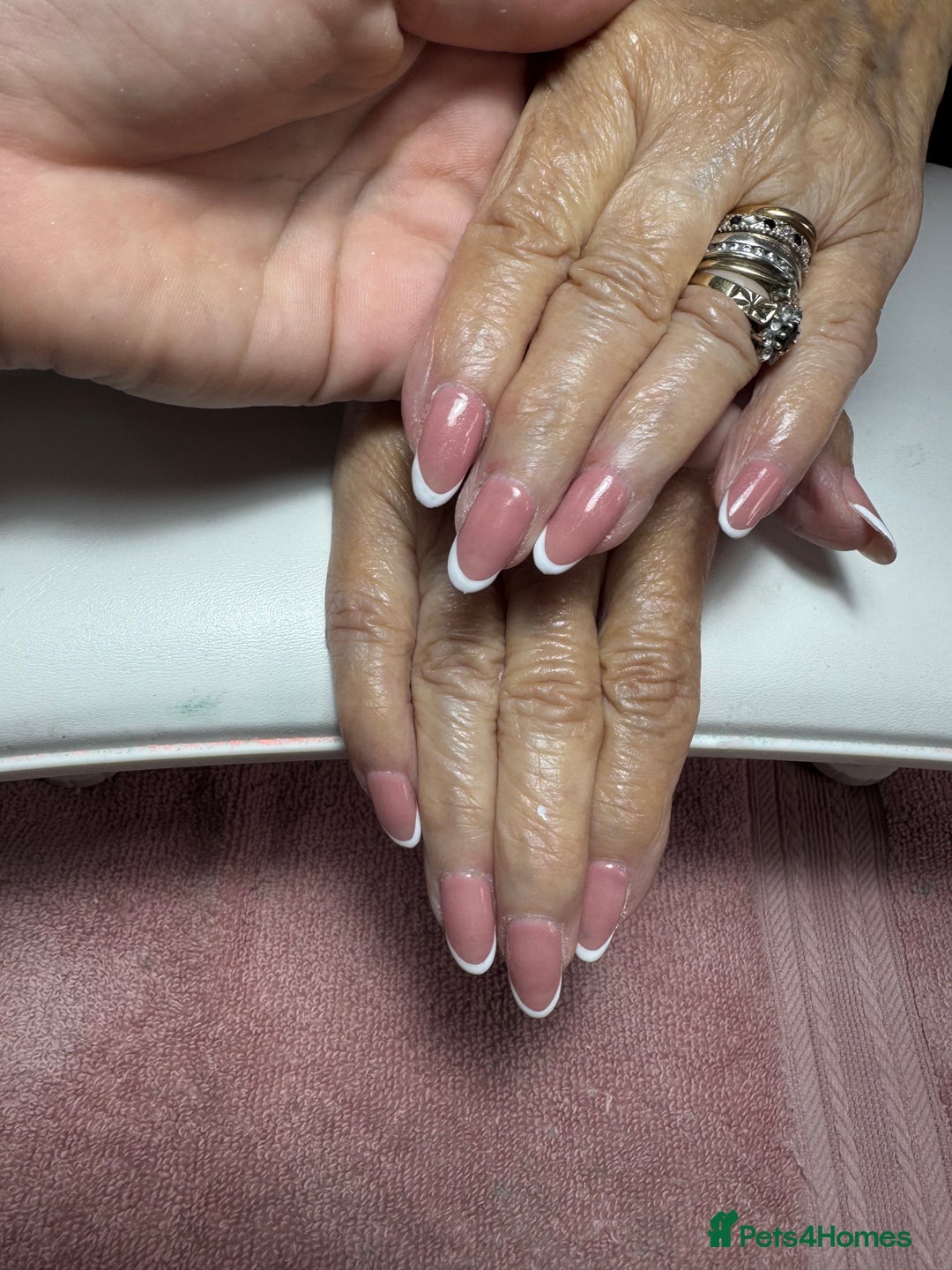 Cockapoo dogs for sale: Beautiful F1 cockapoos  - Advert 5