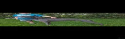 Whippet dogs for stud: KC Whippet - Heart test clear - Advert 2