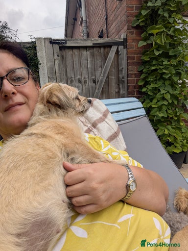 Gallery Image {{count}}