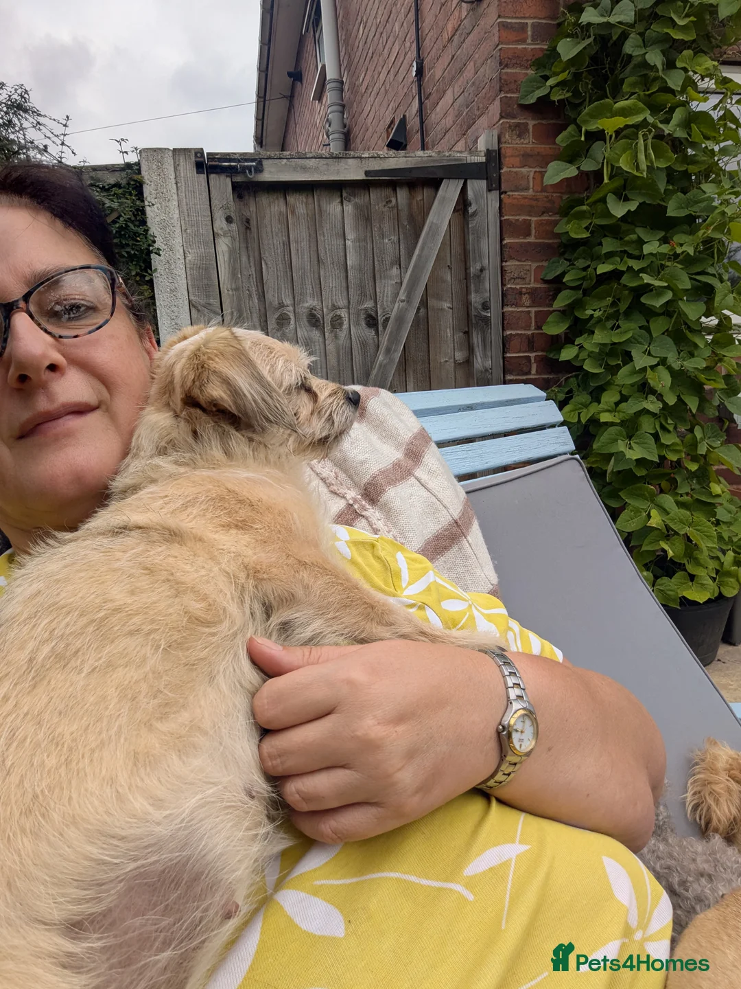 Gallery Image {{count}}