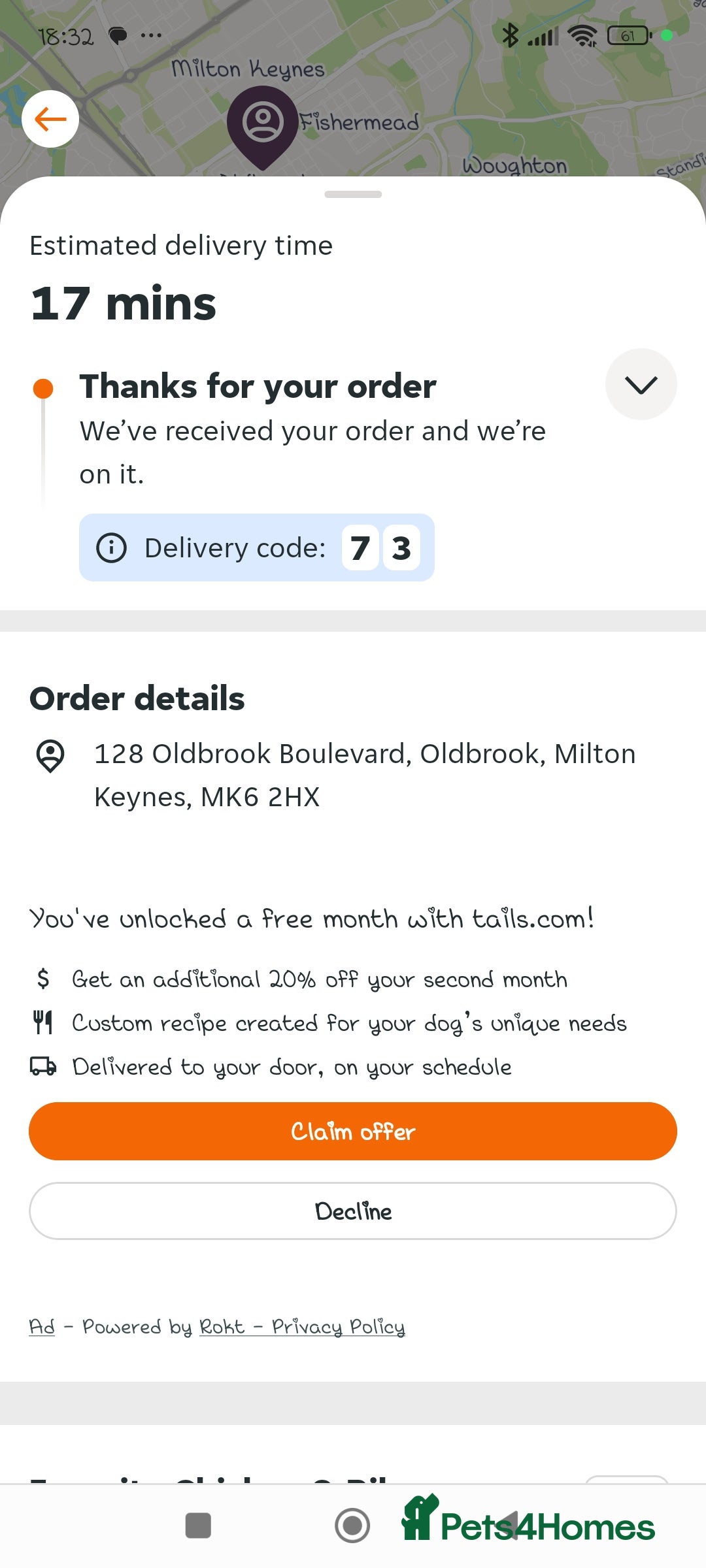 Mixed Breed cats for sale: Maine coon X ragdoll X English short haired  - Advert 19