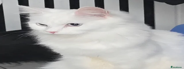 Zero 