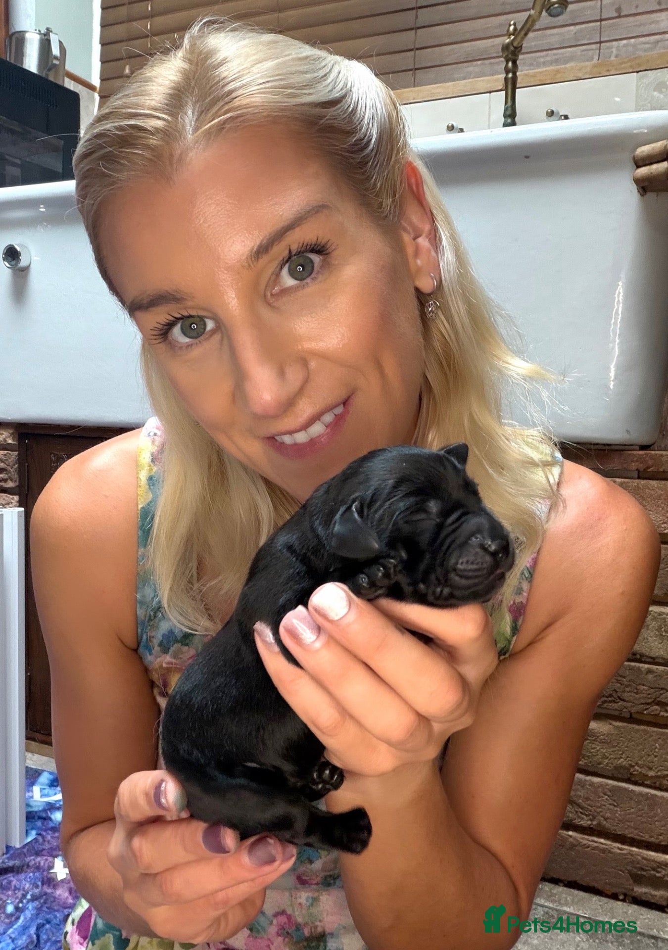 Labrador Retriever dogs 🐾🐕 New healthy, clean happy Labrador KC pup - Advert 17