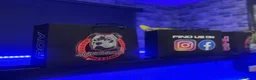 Staffordshire Bull Terrier dogs for sale: Blue Staffordshire Bull Terrier Champion Pups  - Advert 17