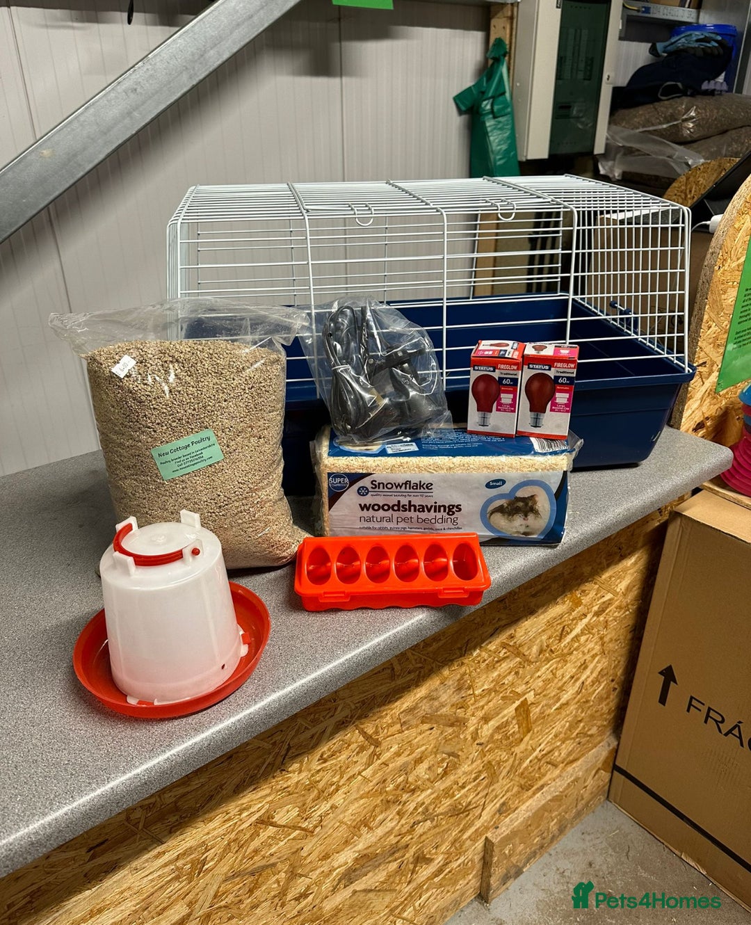 Chickens poultry for sale: Chicks and Starter sets  - Image 1