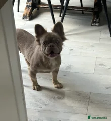 Coco