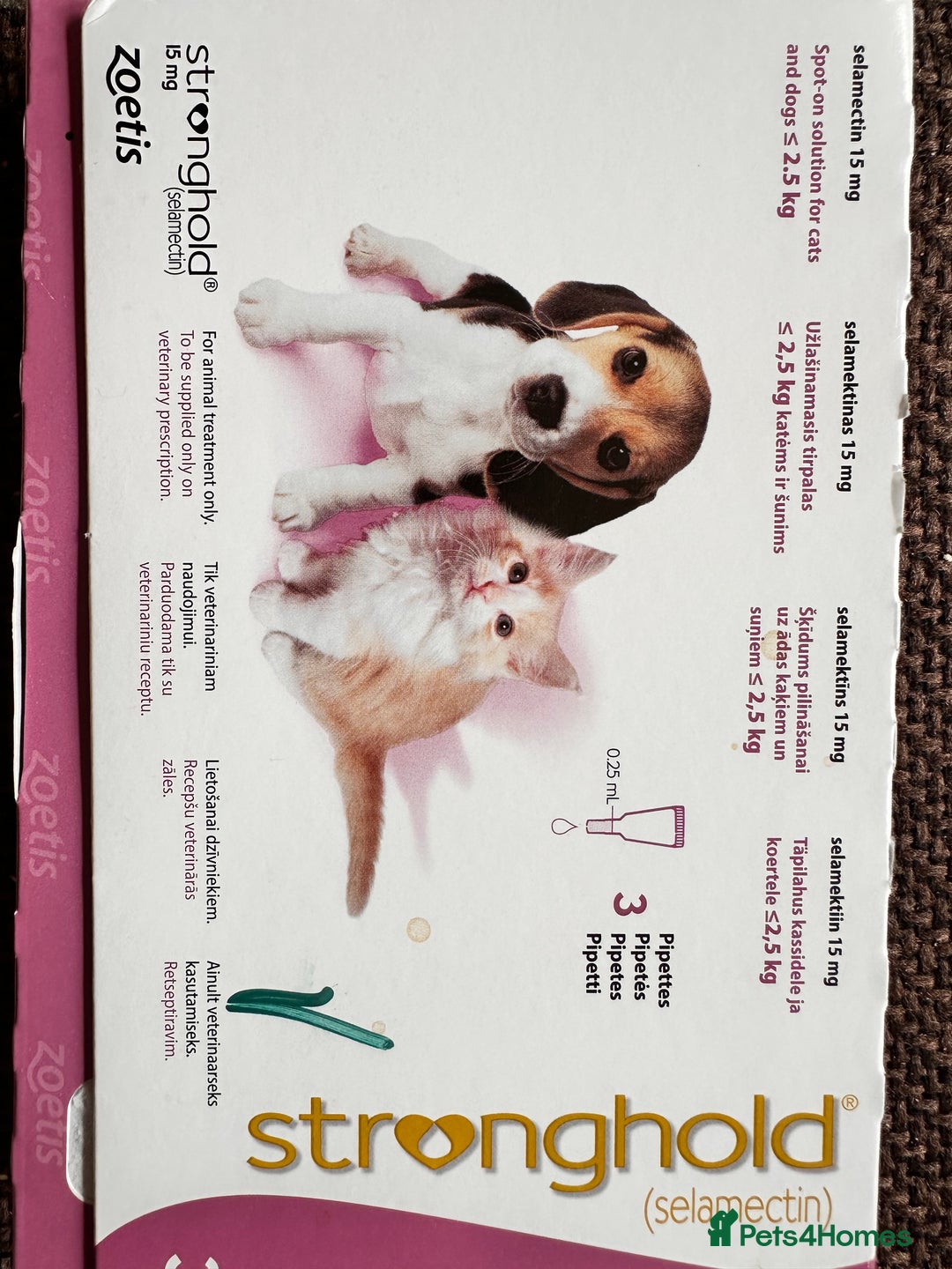 Mixed Breed cats for sale: Adorable bengal & tabby mix kittens - Image 16