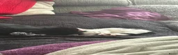 Mixed Breed cats for sale: 3 kittens looking for their forever home - Advert 5