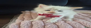 Sirius 
