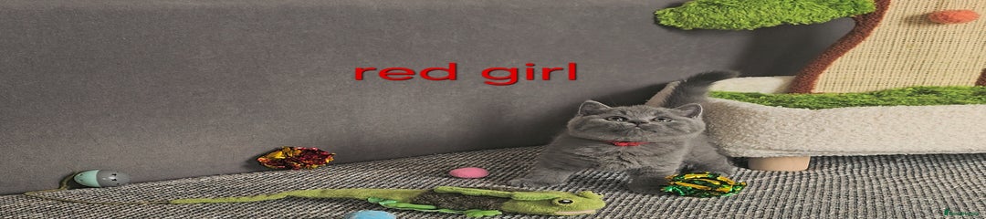 Red collar - girl