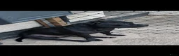 Staffordshire Bull Terrier dogs for sale: Black Kc Reg Staffordshire Bull Terrier female - Advert 11