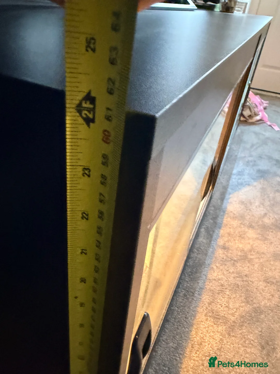 Bearded Dragon reptiles for sale: Bearded dragon  in Thame - Advert 9