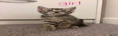 Girl 2