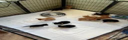 Mixed Breed cats for sale: Mixed breed kittens for sale  - Advert 9