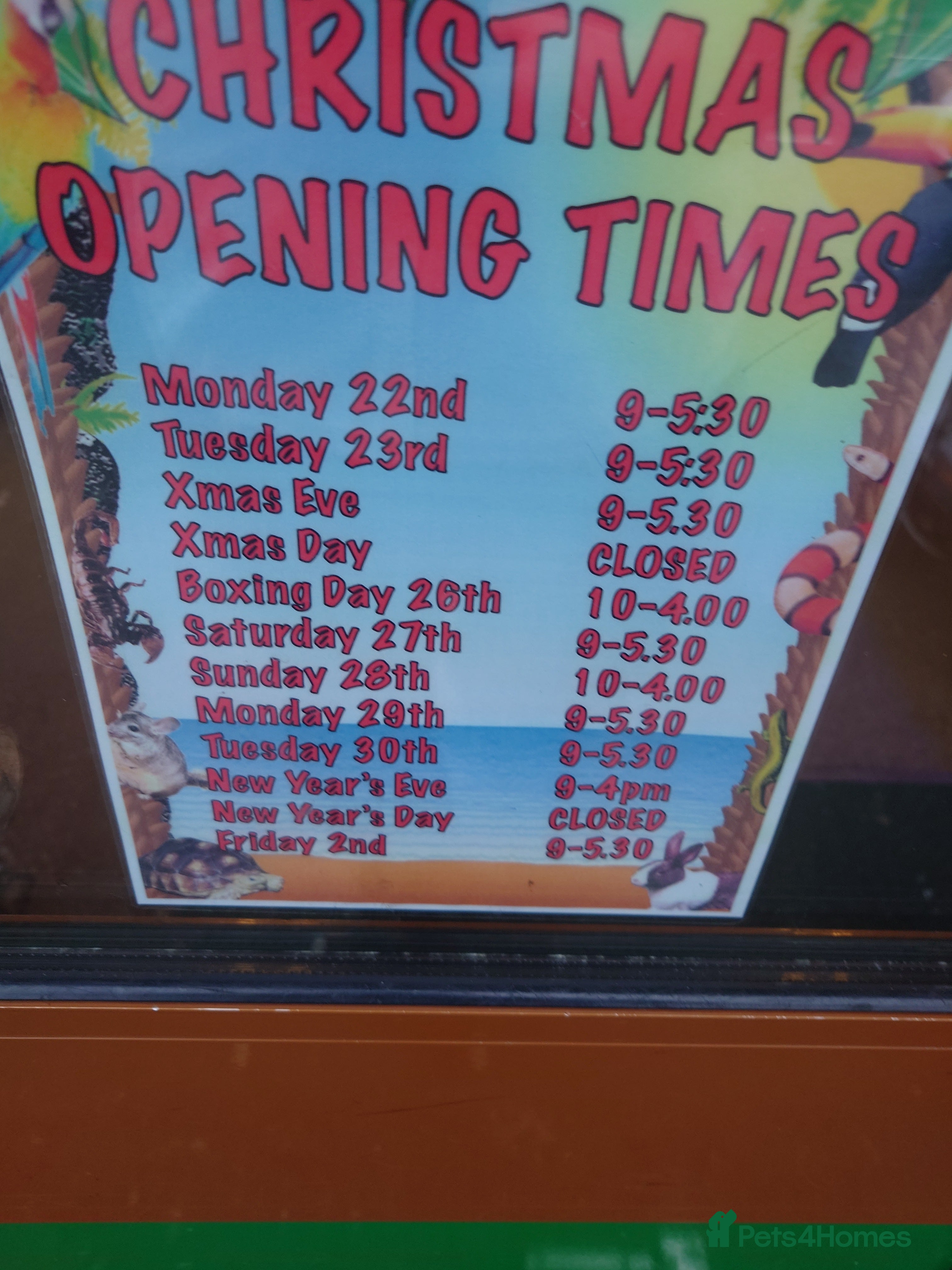 Other/Mixed Breed fish Fish Stock List - Updated Regularly  - Advert 7