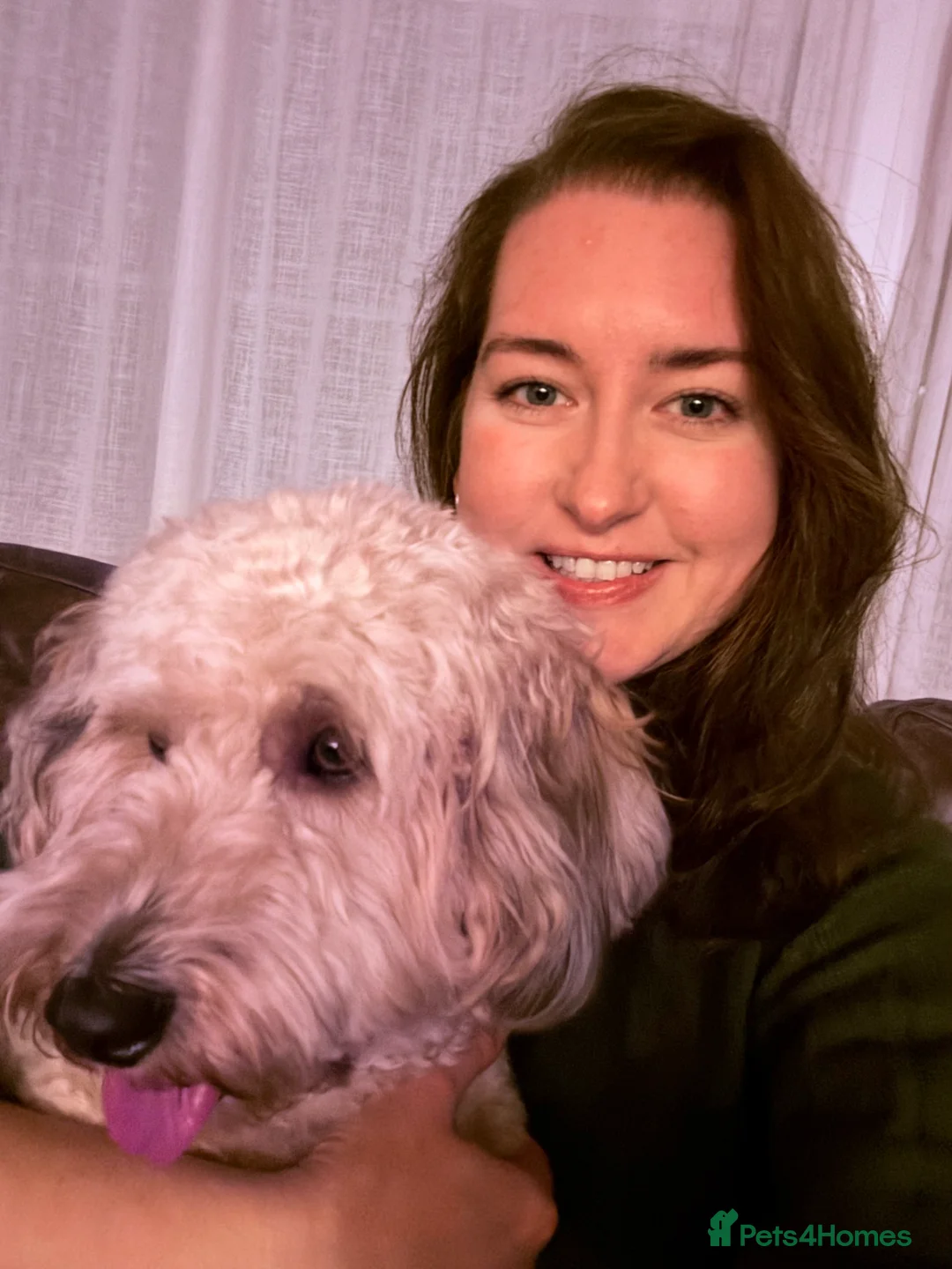 Gallery Image {{count}}